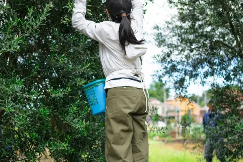 日本の現場で働く人