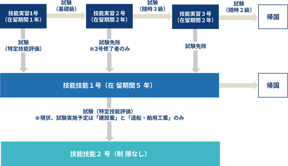 技能実習から特定技能への移行